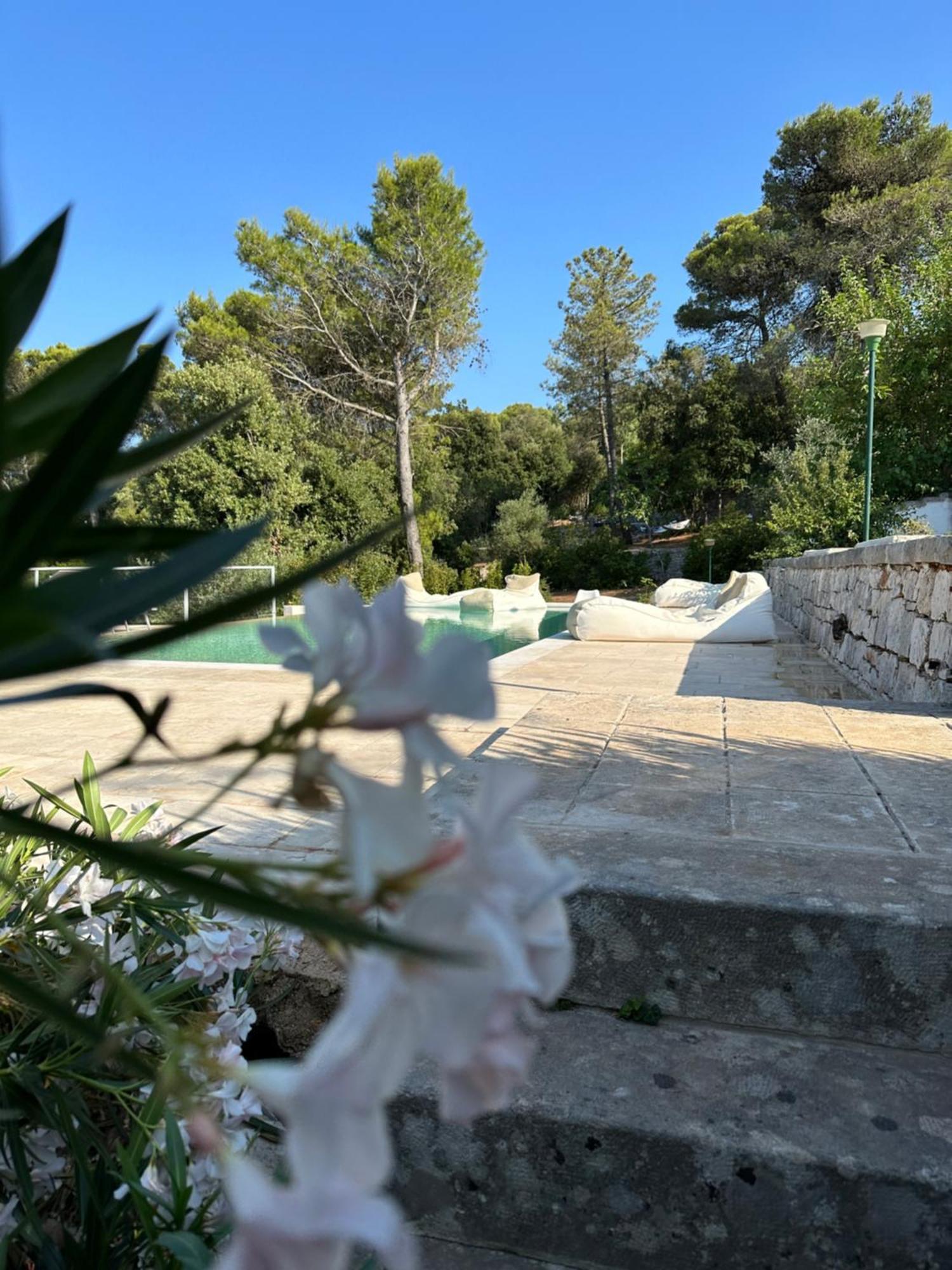 ロコロトンド Il Trullo Di Simona Bed & Breakfast エクステリア 写真