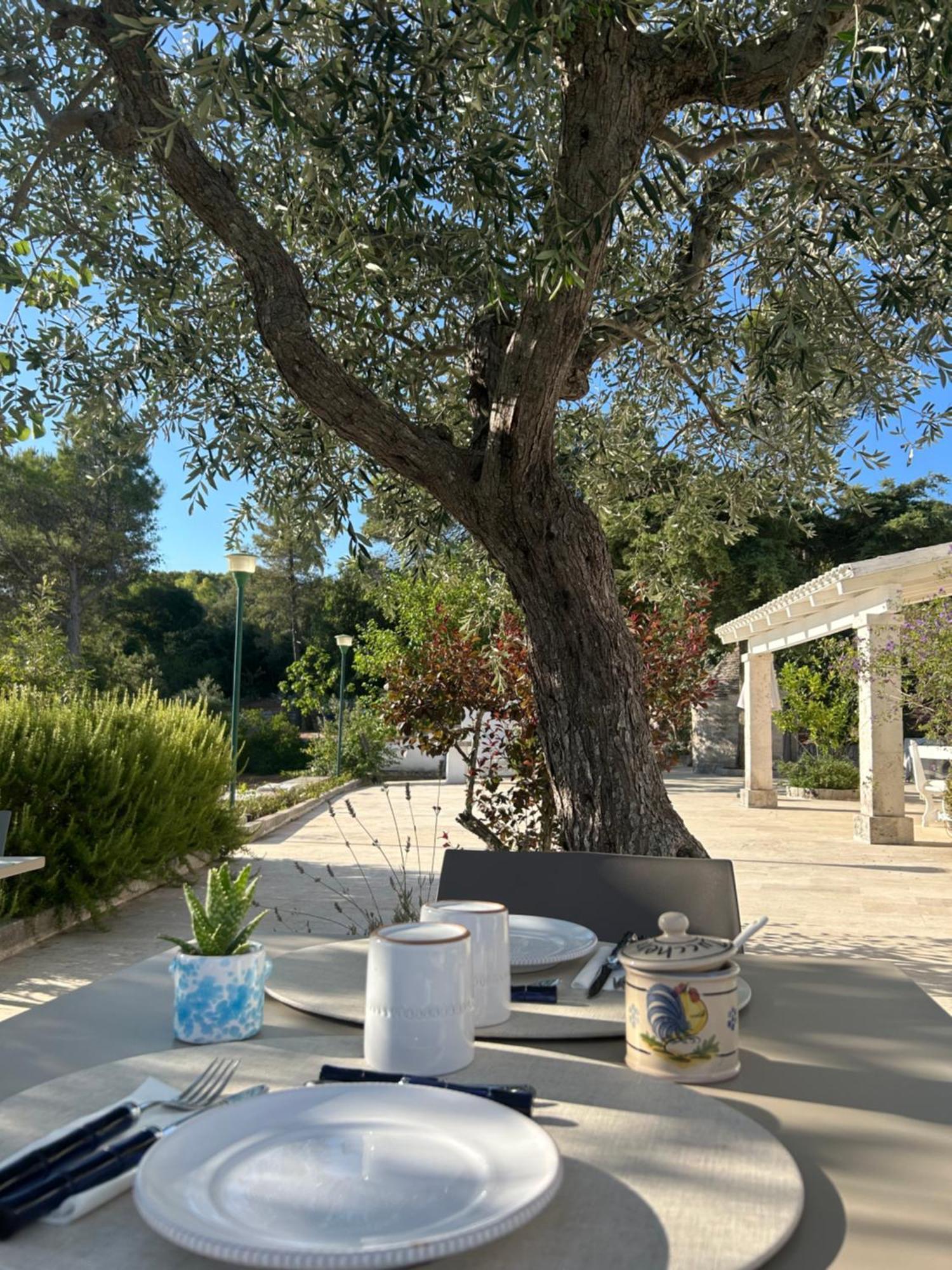 ロコロトンド Il Trullo Di Simona Bed & Breakfast エクステリア 写真