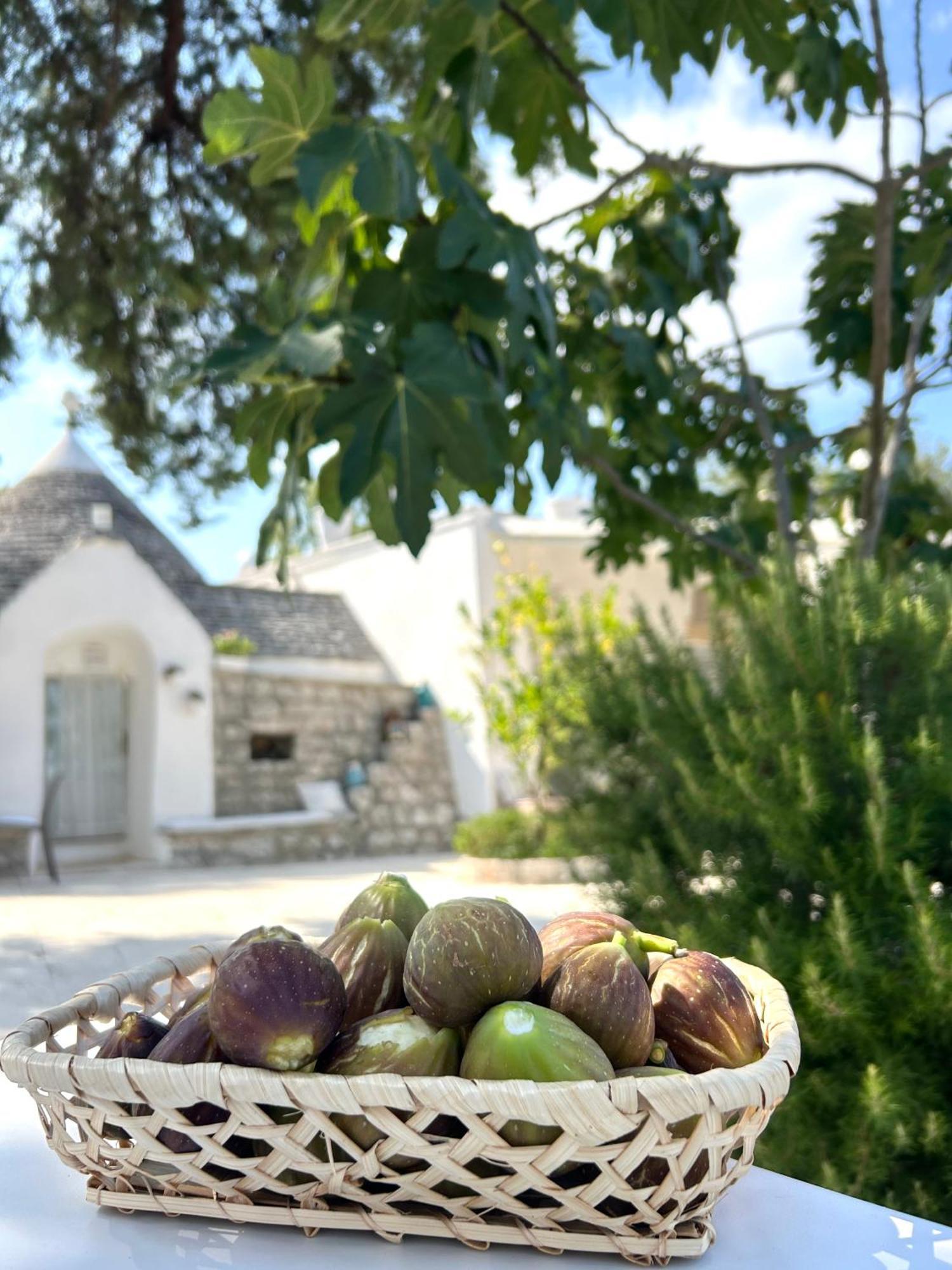ロコロトンド Il Trullo Di Simona Bed & Breakfast エクステリア 写真