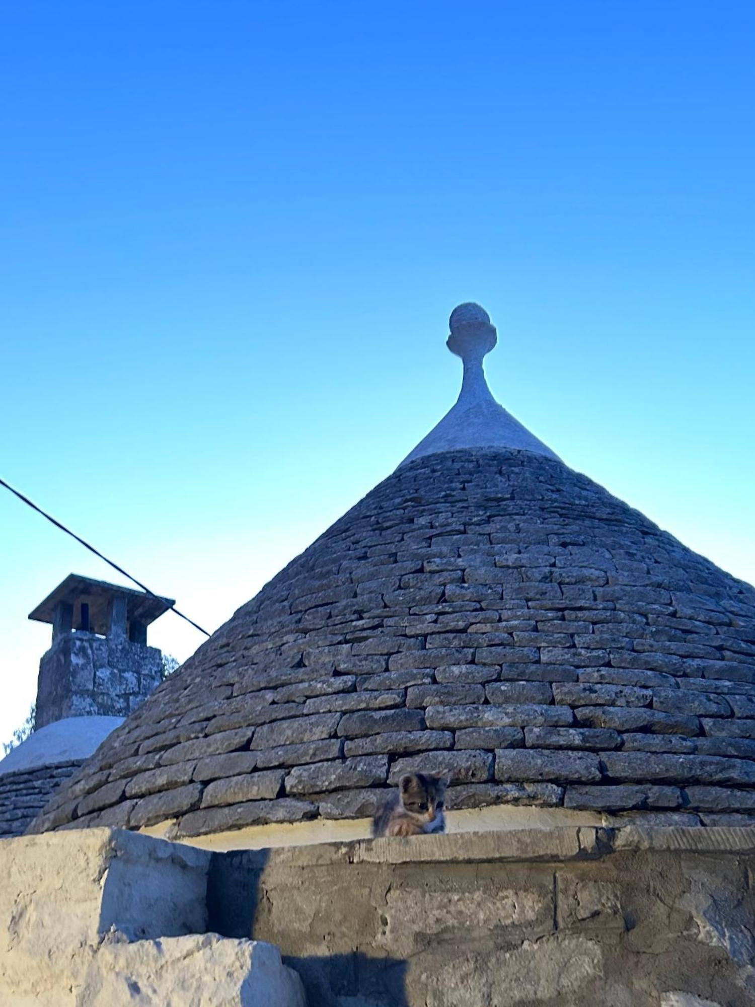 ロコロトンド Il Trullo Di Simona Bed & Breakfast エクステリア 写真